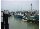 DSC00174.JPG