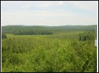 125DSC00032.jpg
