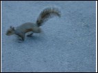 092DSC00029.jpg