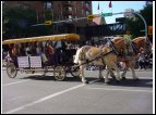 calgary 24.jpg