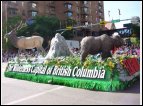 calgary 30.jpg