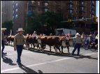 calgary 33.jpg