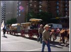 calgary 34.jpg