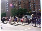 calgary 36.jpg
