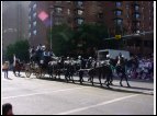 calgary 38.jpg
