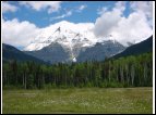 DSC00044.jpg