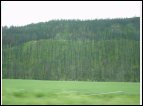 DSC00046.jpg