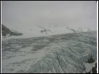 DSC00083.jpg
