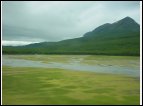 DSC00027.jpg