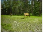 DSC00039.jpg