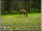 DSC00040.jpg