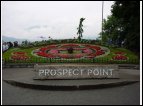 DSC00248.jpg