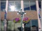 DSC00154.jpg