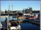 DSC00155.jpg