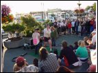 DSC00163.jpg