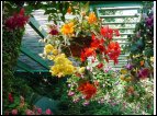DSC00167.jpg