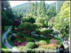 DSC00168.jpg