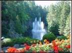 DSC00173.jpg