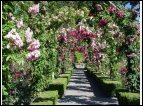 DSC00177.jpg