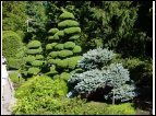 DSC00181.jpg