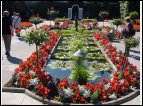 DSC00182.jpg