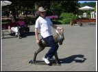 DSC00183.jpg