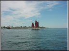 DSC00188.jpg