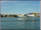 DSC00209.jpg