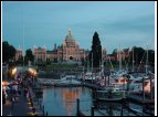 DSC00224.jpg