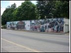 DSC00134.jpg