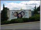 DSC00135.jpg
