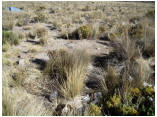 perubolivien0169.JPG
