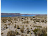 perubolivien0191.JPG