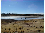 perubolivien0200.JPG