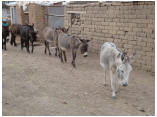 perubolivien0276.JPG