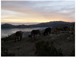 perubolivien0281a.jpg