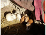 perubolivien0339.JPG