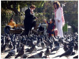 perubolivien0372a.jpg