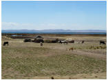 perubolivien0492.JPG