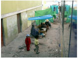 perubolivien0603.JPG