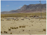 perubolivien0642.JPG