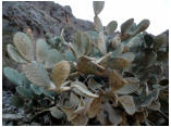 perubolivien0759.JPG