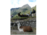 perubolivien0813.JPG
