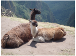perubolivien0824.JPG