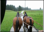 DSC00015.jpg