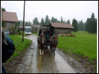 DSC00018.jpg
