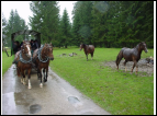 DSC00021.jpg