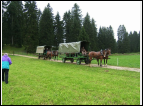 DSC00023.jpg