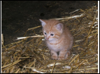 DSC00035.jpg