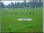 DSC00081.jpg